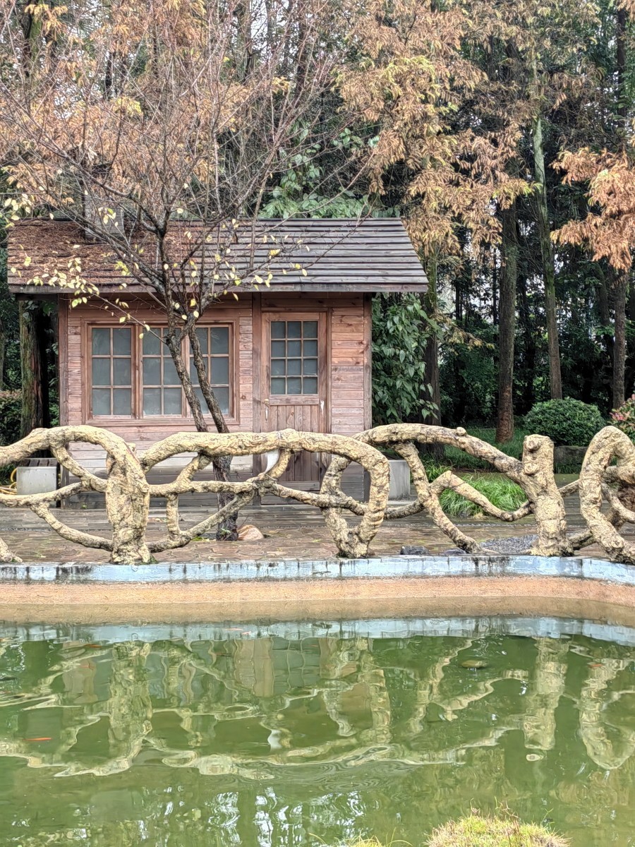 外出随拍（续267）.