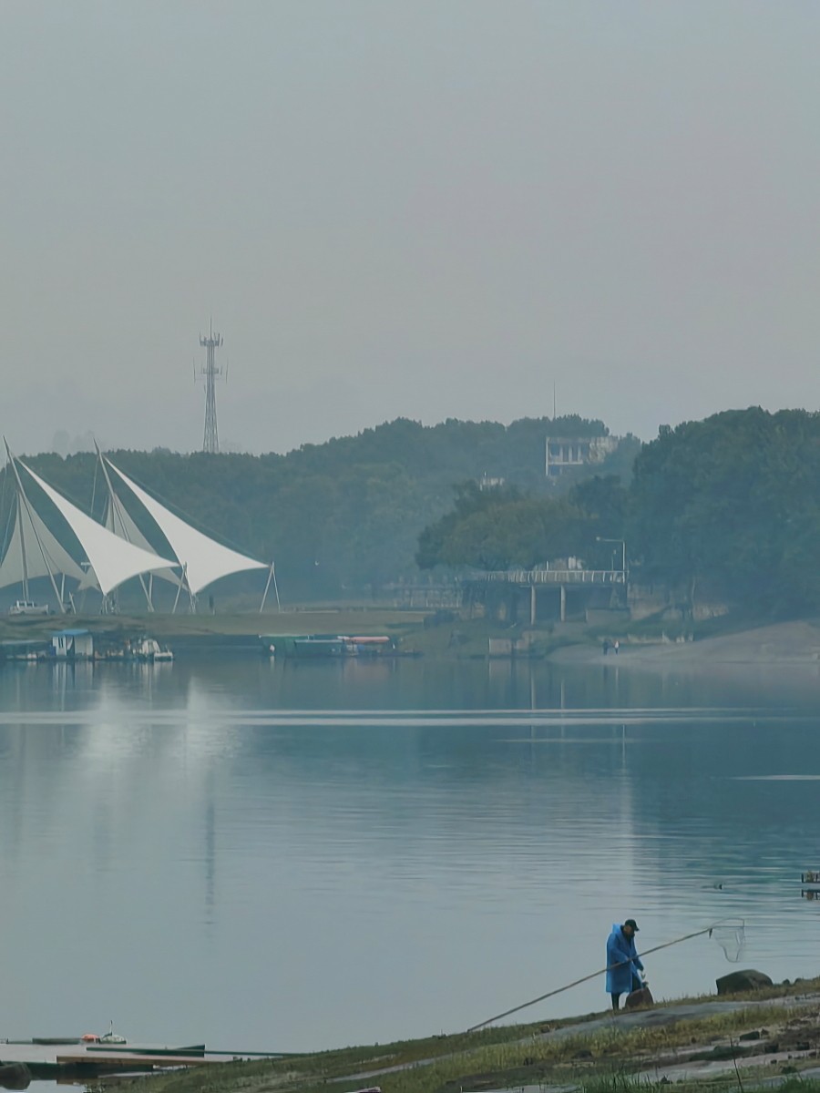 外出随拍（续267）.