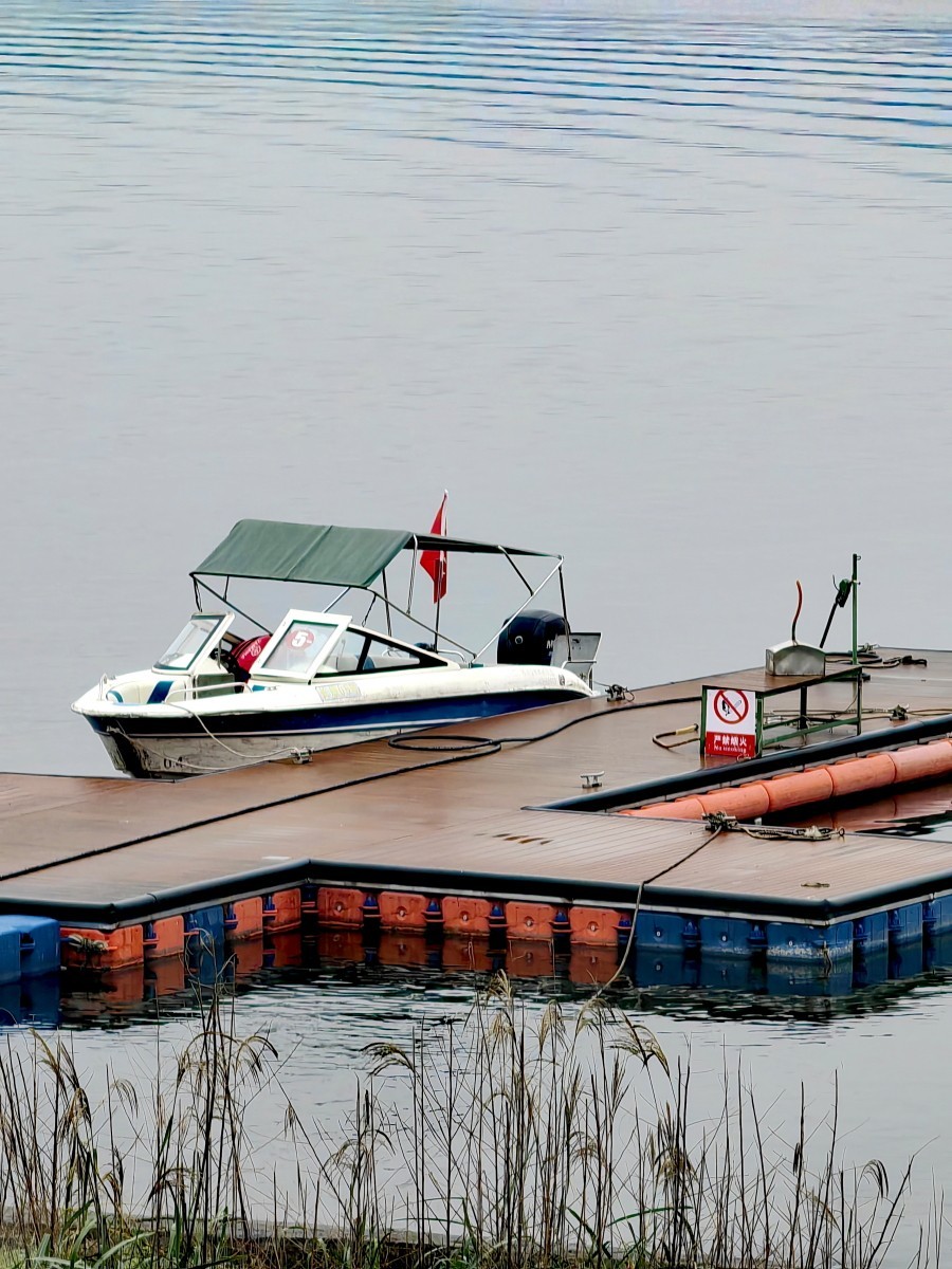 外出随拍（续267）.