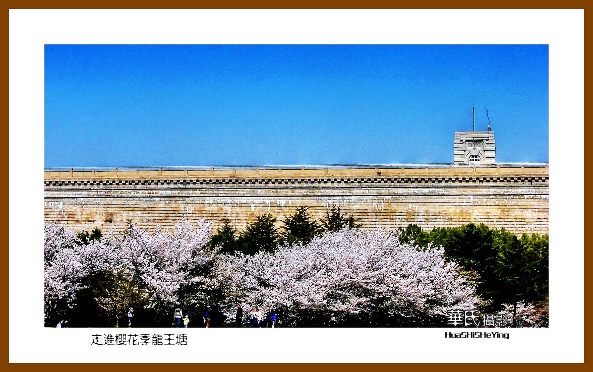 美色辽宁—走进樱花季龙王塘（大连市旅顺口）