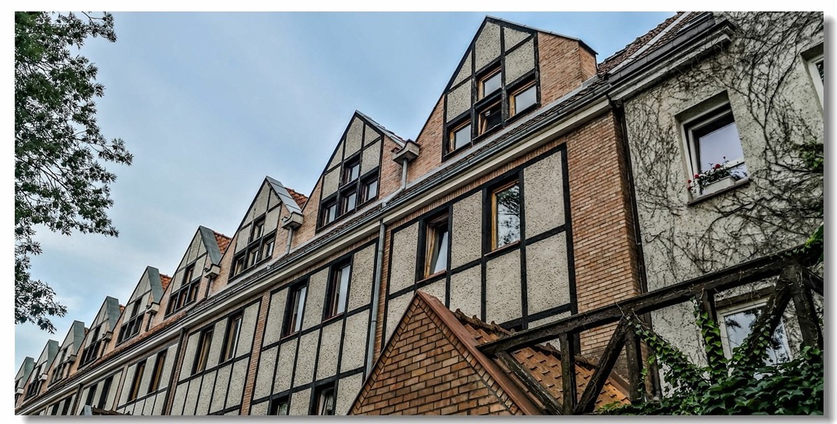 波兰行之--Starve留影