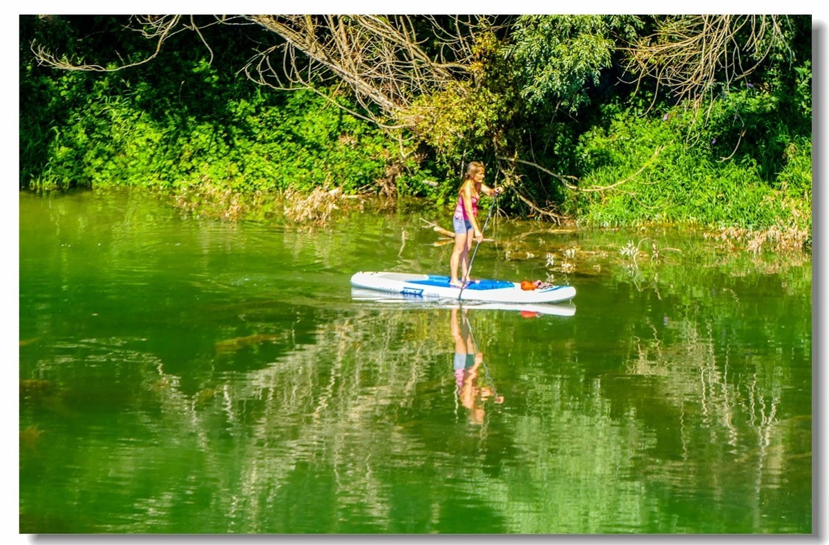 携“夏日莱茵”，拜望无锡星空(中国)师友，祝长夏安好！！！