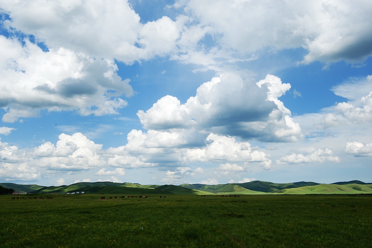 蓝蓝的天空白云飘