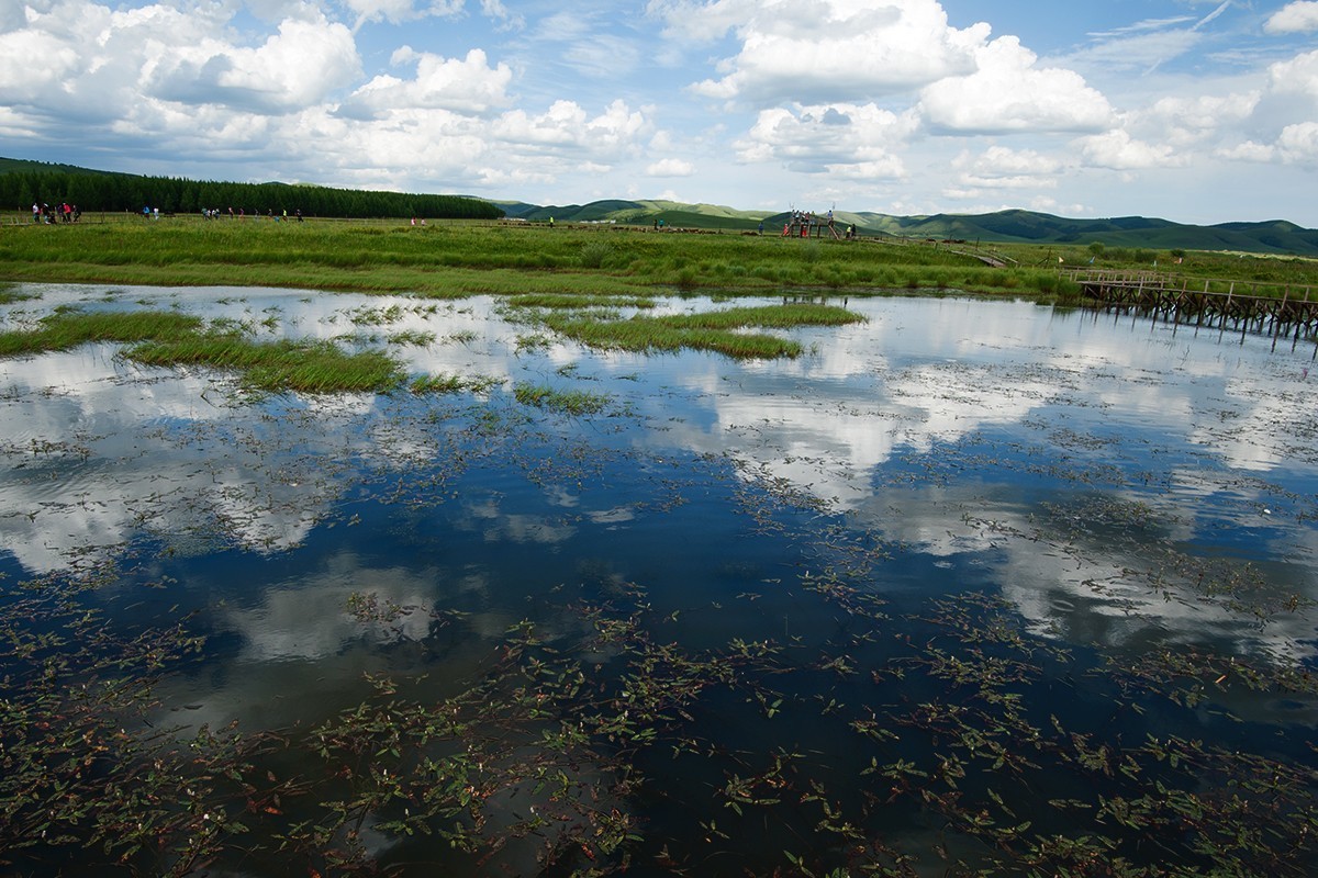 蓝蓝的天空白云飘