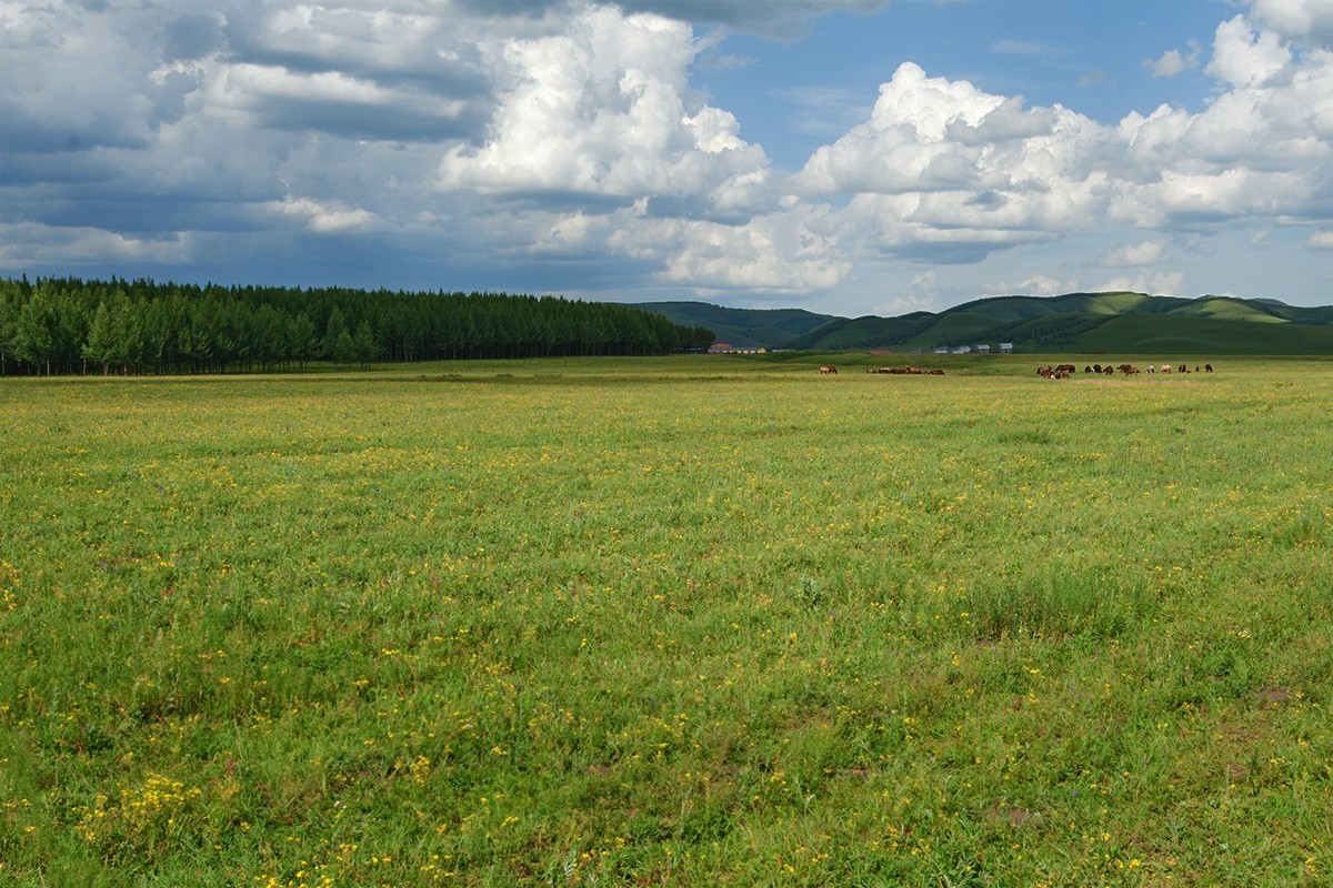 蓝蓝的天空白云飘