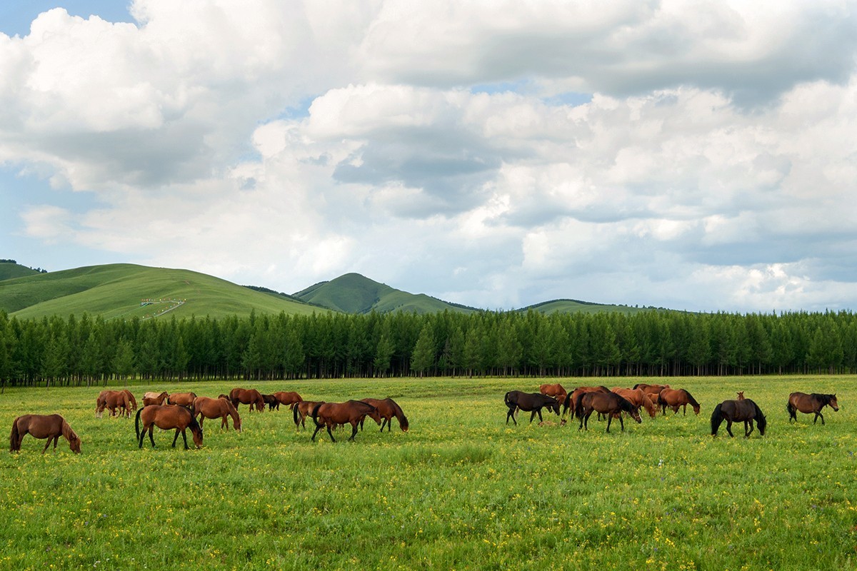 蓝蓝的天空白云飘