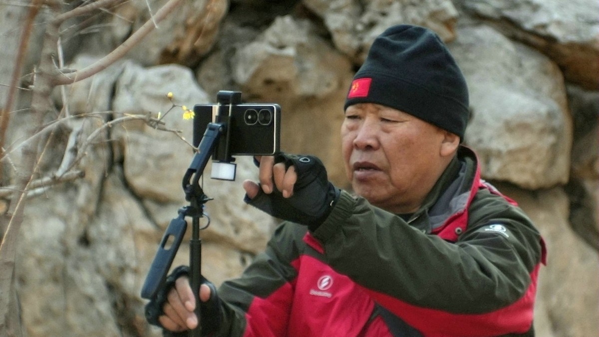 摄影师精益求精拍腊梅