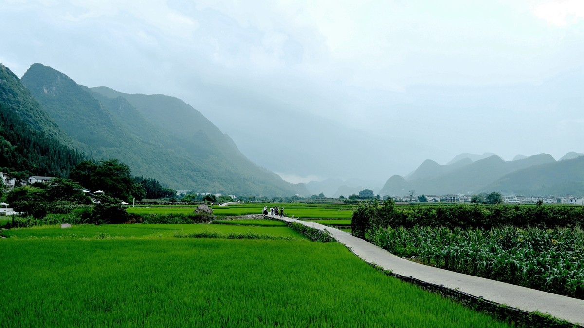 【黔西南万峰林-中国田园风光天花板】尼康Z5 24-200直出