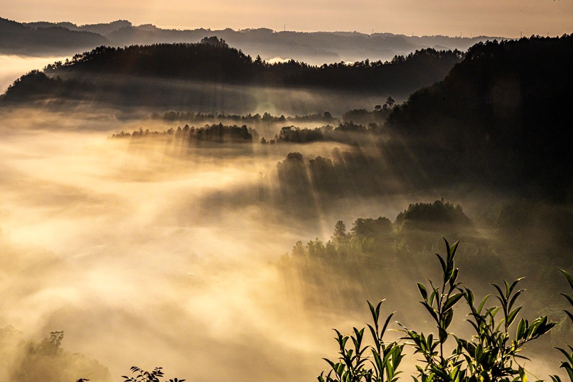 四川威远骑龙坳---晨雾【11】续完