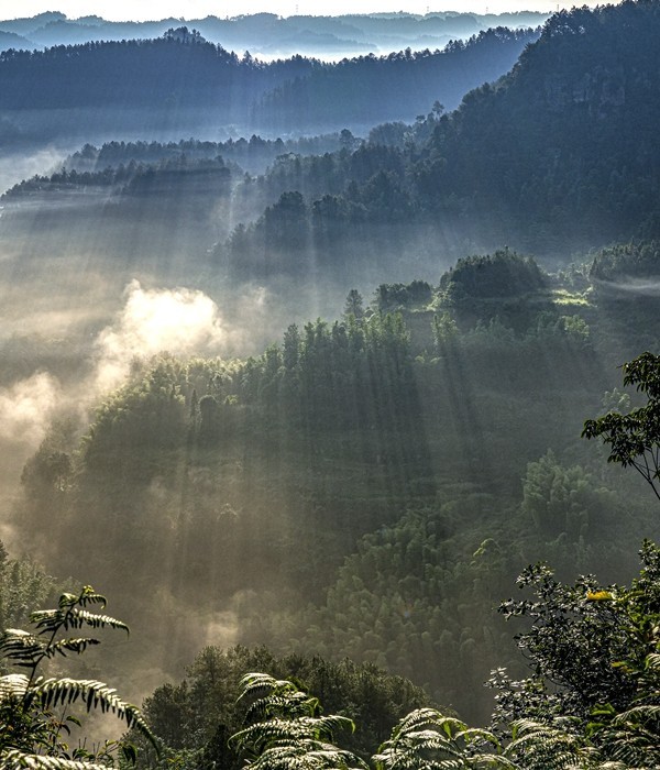 四川威远骑龙坳---晨雾【11】续完