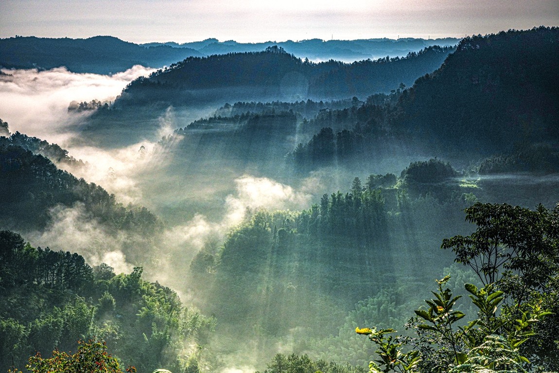 四川威远骑龙坳---晨雾【11】续完