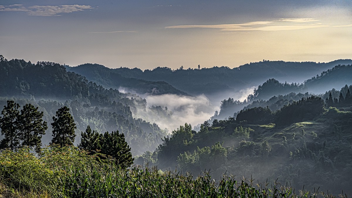四川威远骑龙坳---晨雾【11】续完
