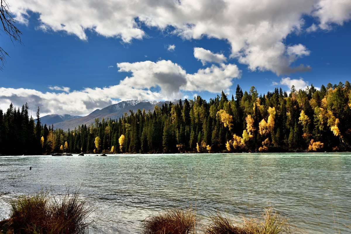 #留住美丽秋天# ——喀纳斯河畔风光【2】