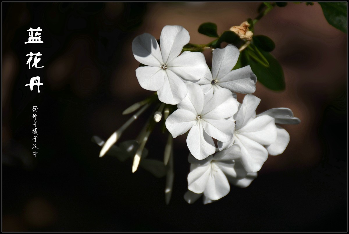 #九月精品学习@#