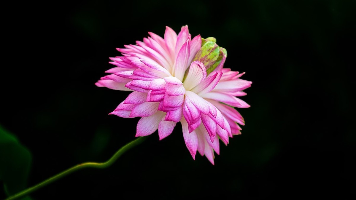 #九月精品学习@#