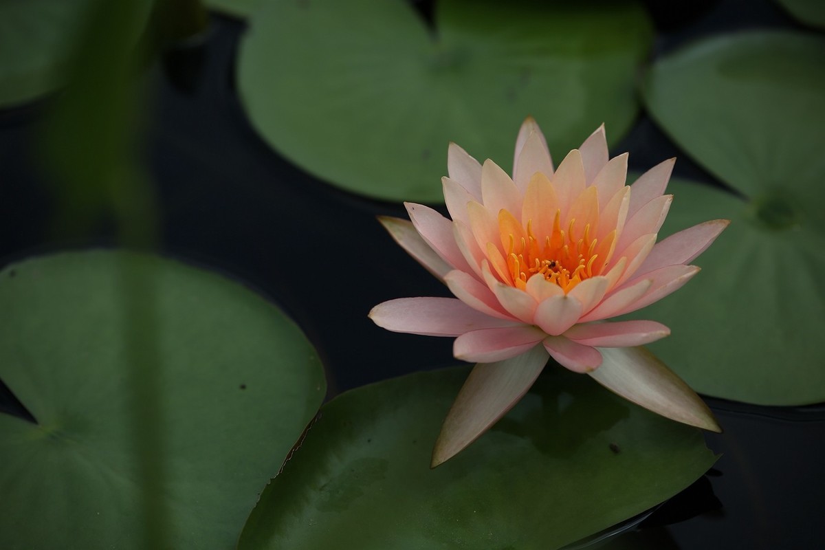 #九月精品学习@#