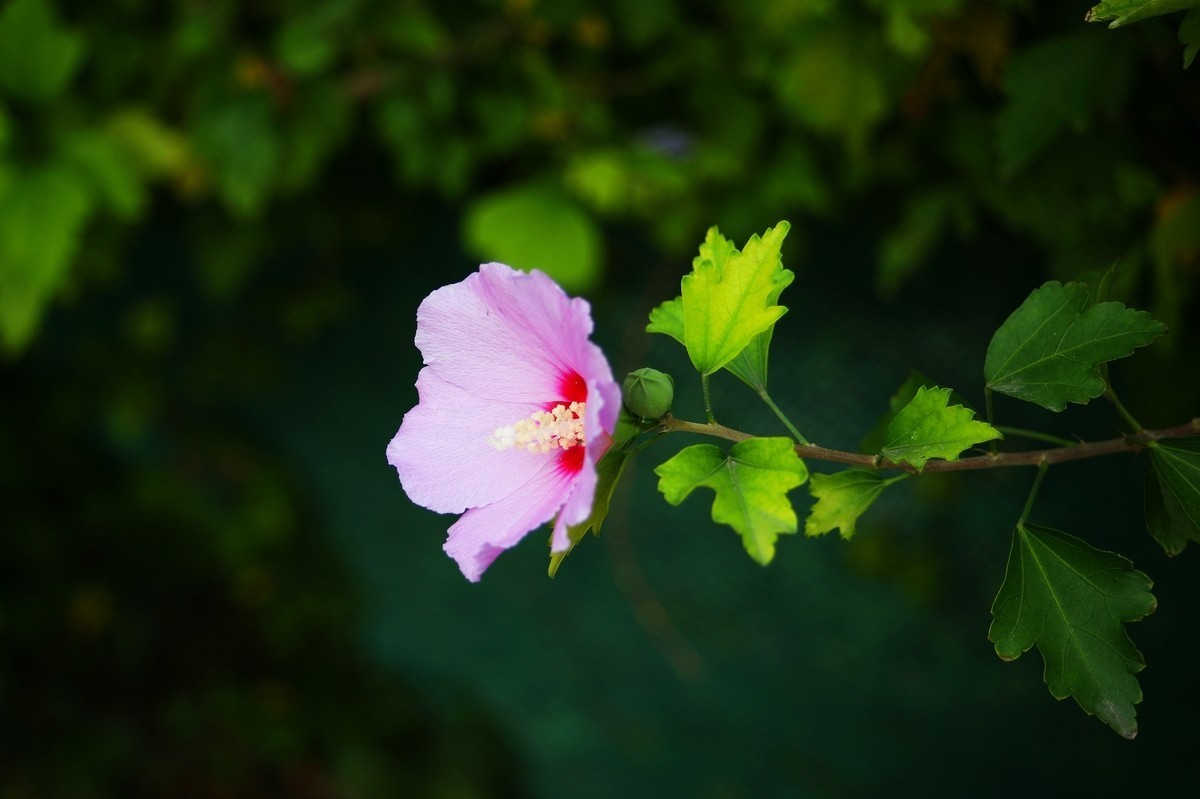 #九月精品学习@#