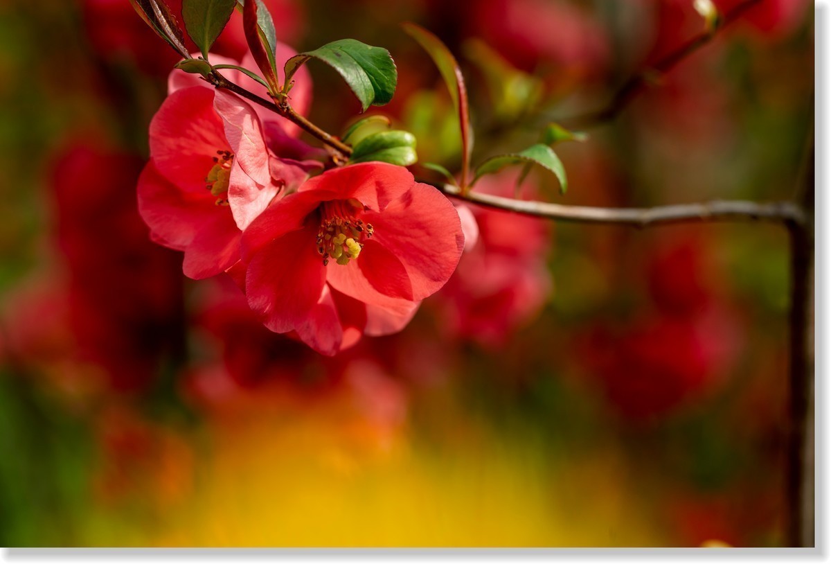 #九月精品学习@#