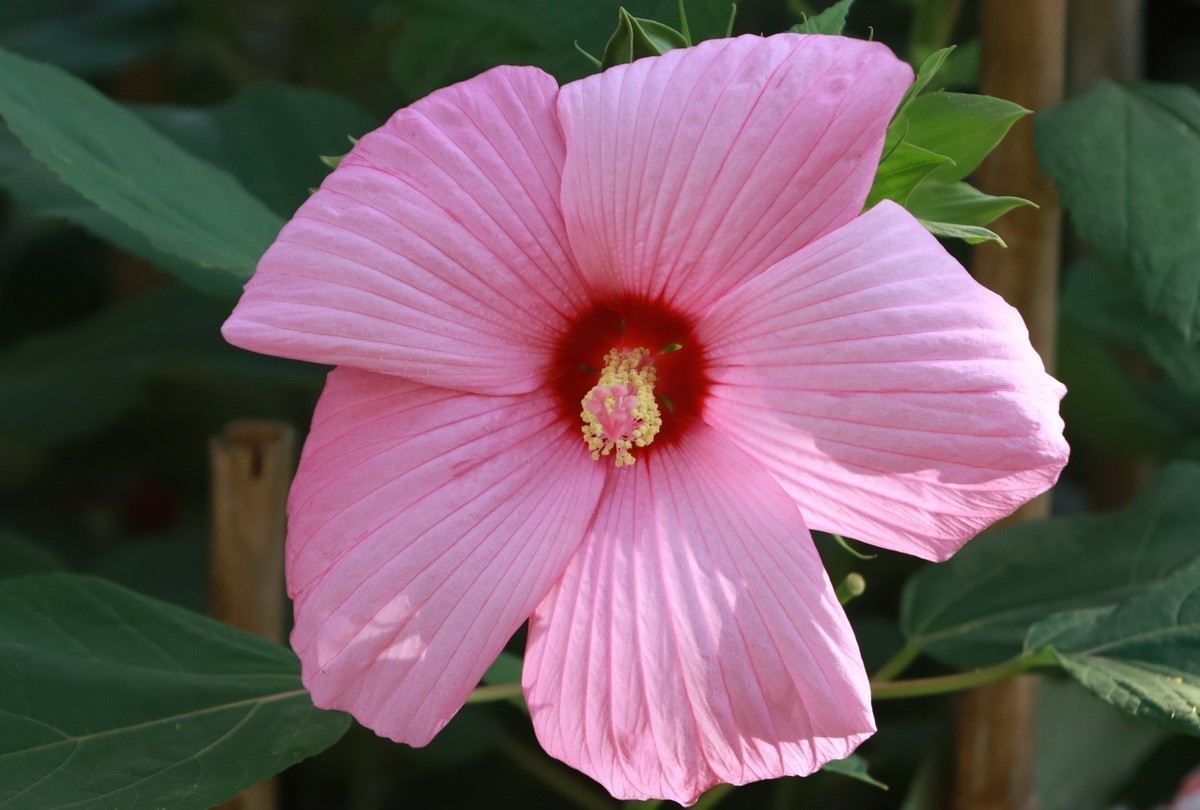 #九月精品学习@#