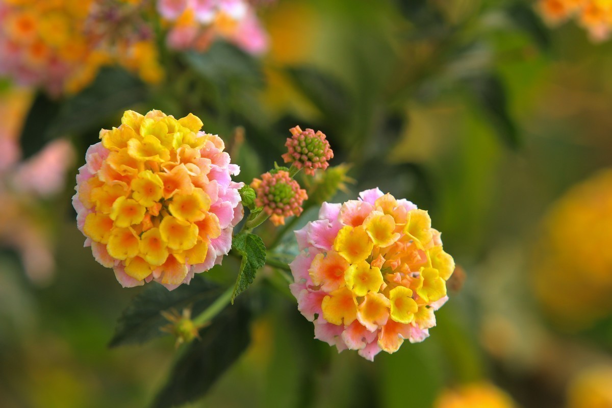 #九月精品学习@#