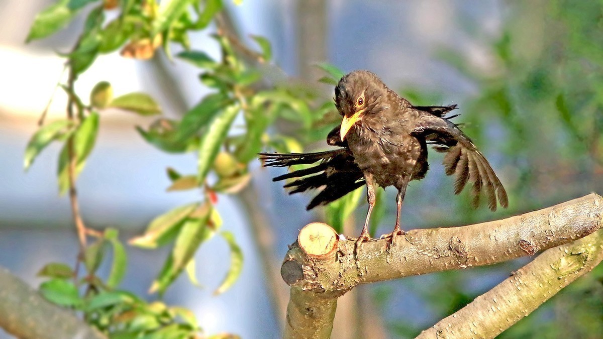 #九月精品学习@#