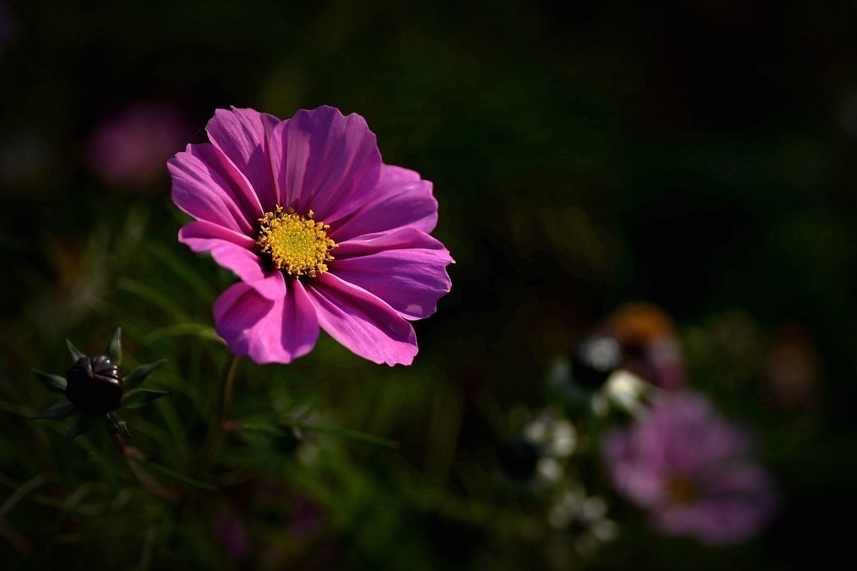 #九月精品学习@#