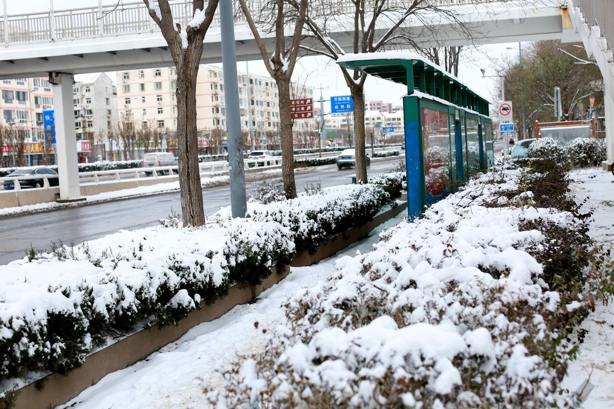 2023年12月拍雪后