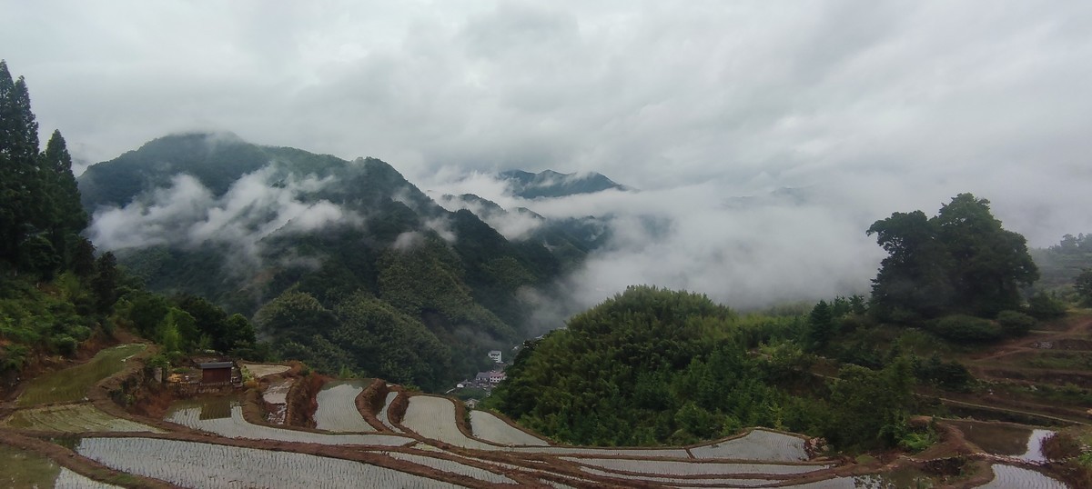 指南山随手拍 ------- 5