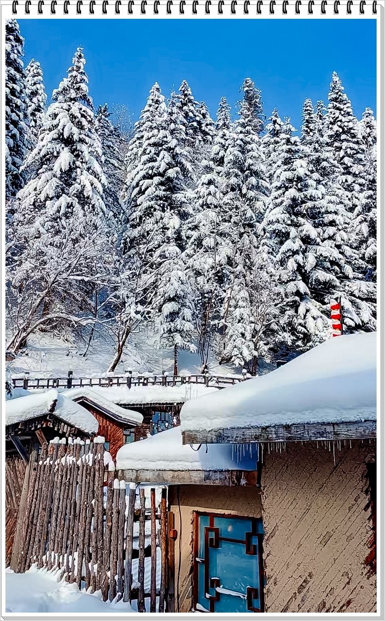 2025年- 中国雪乡纪实抓拍-0175