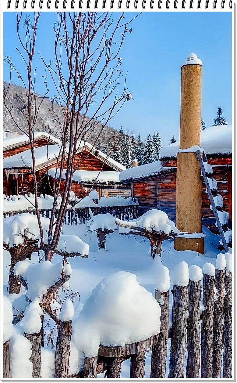 2025年- 中国雪乡纪实抓拍-0175