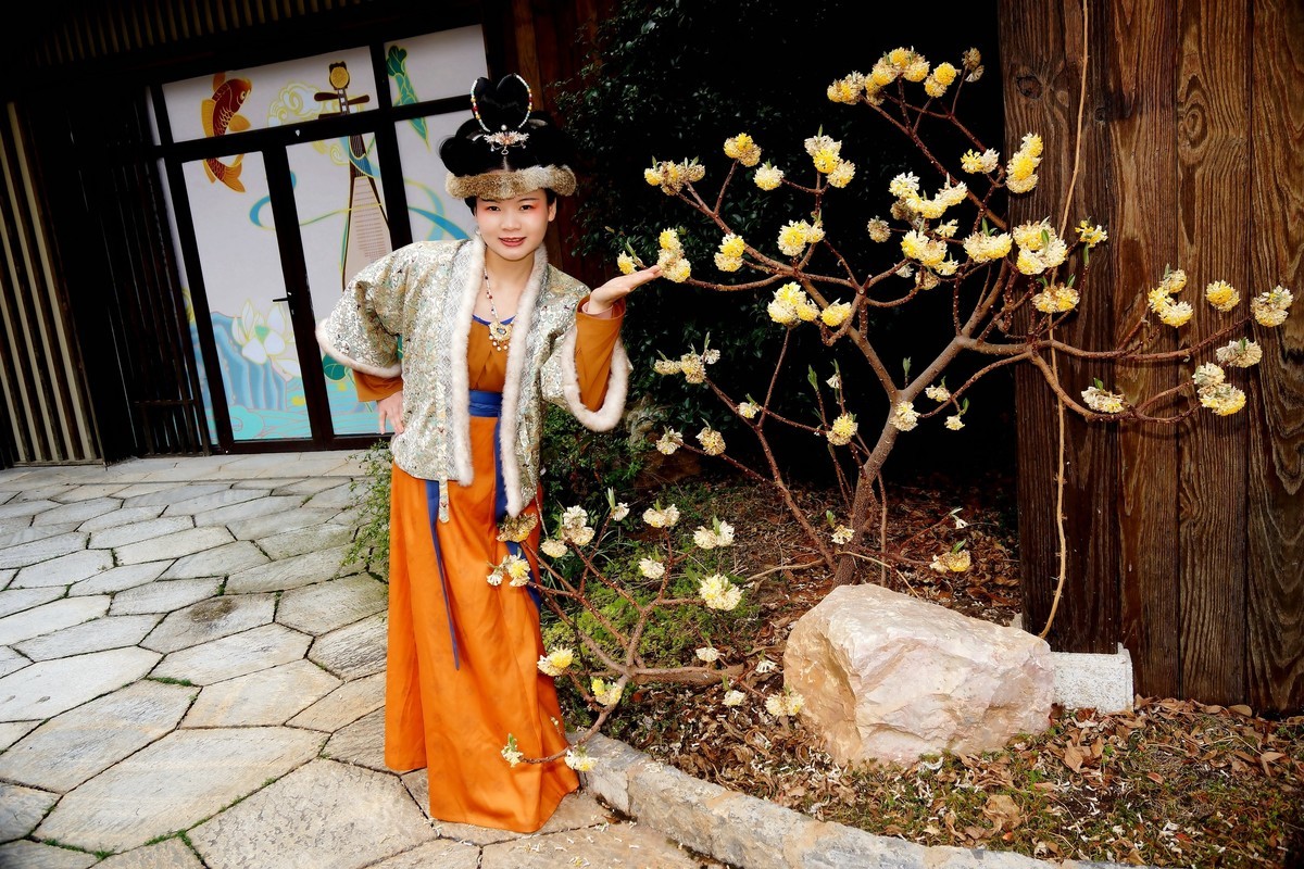 环境人像---东山问梅村的美女！