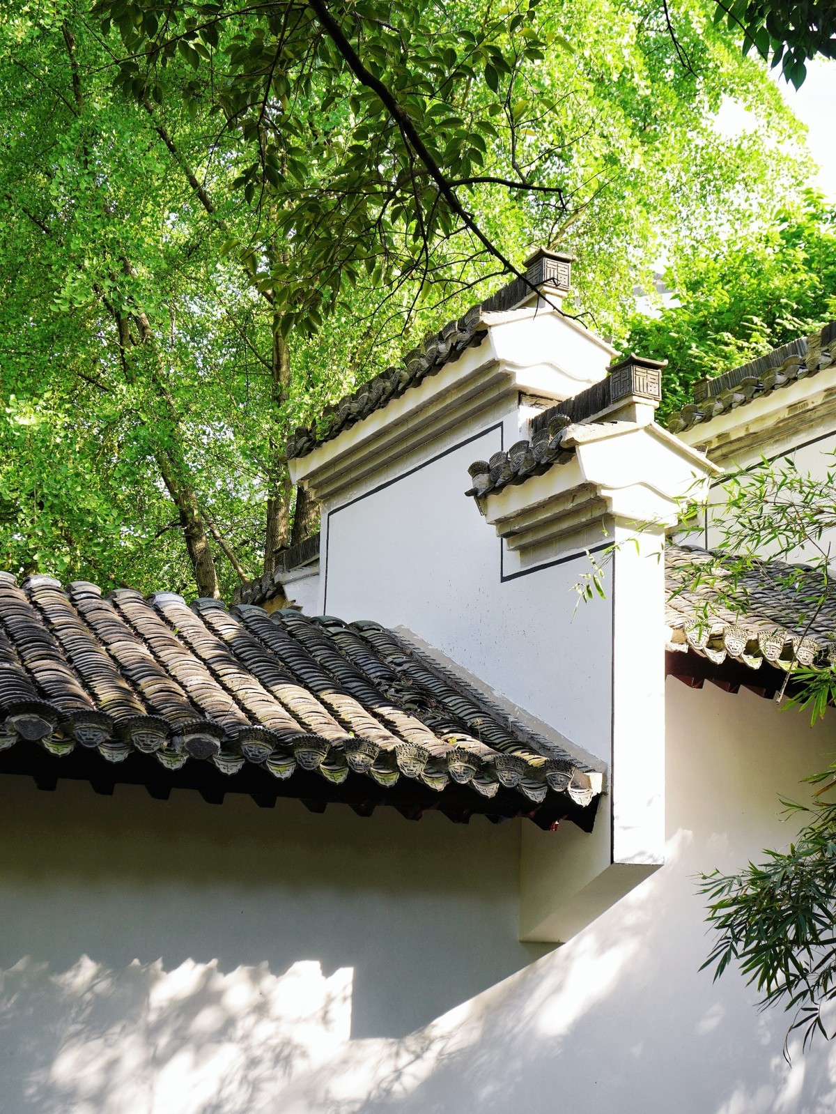 庐州印象（450）合肥