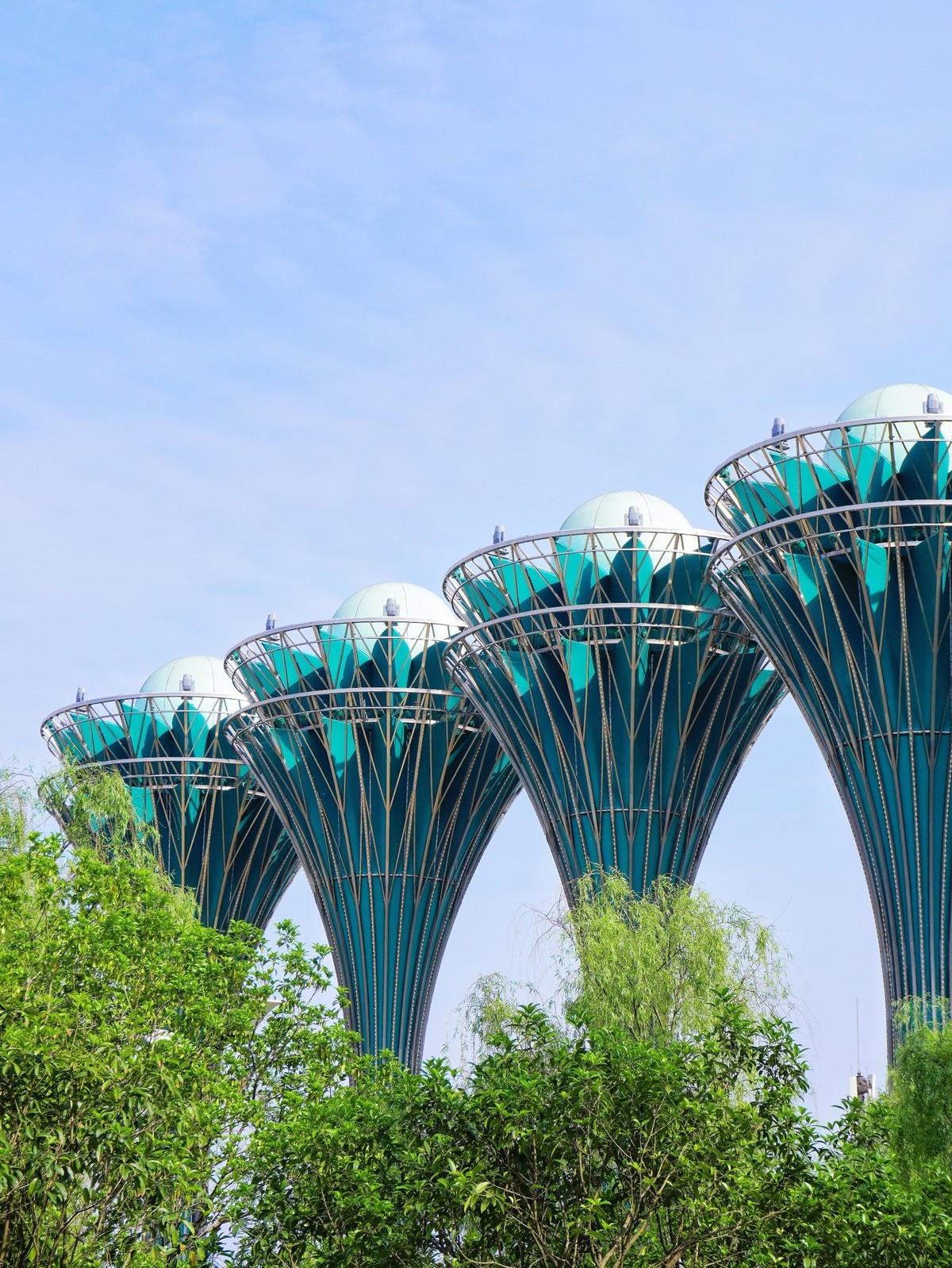 庐州印象（450）合肥