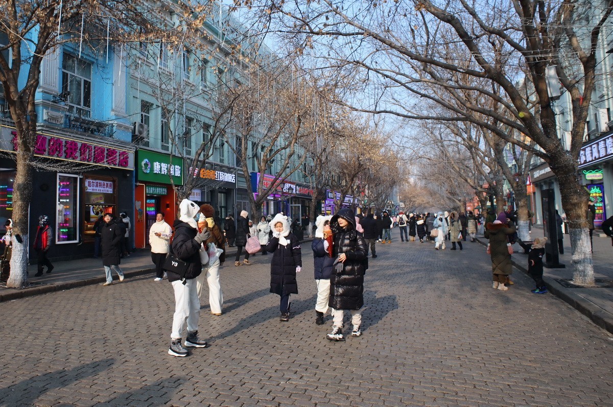 2025.1  中央大街上的游客     2/5