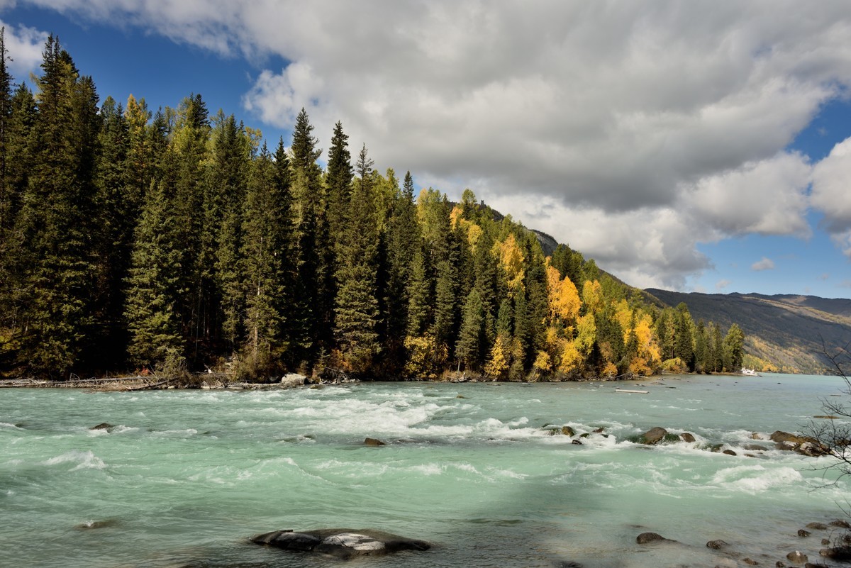 #留住美丽秋天# ——喀纳斯河畔风光【2】