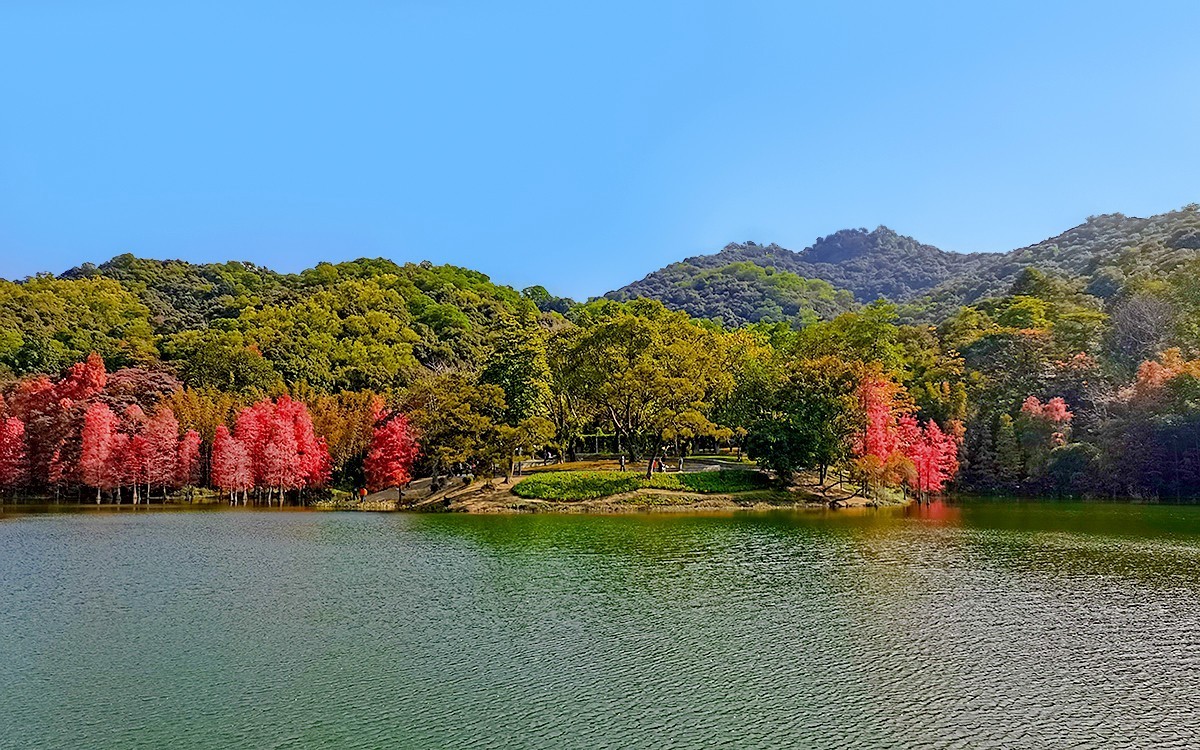 23014冬日的白云山3