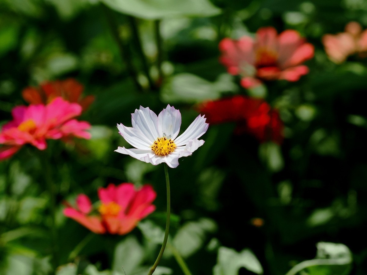 #九月精品学习@#