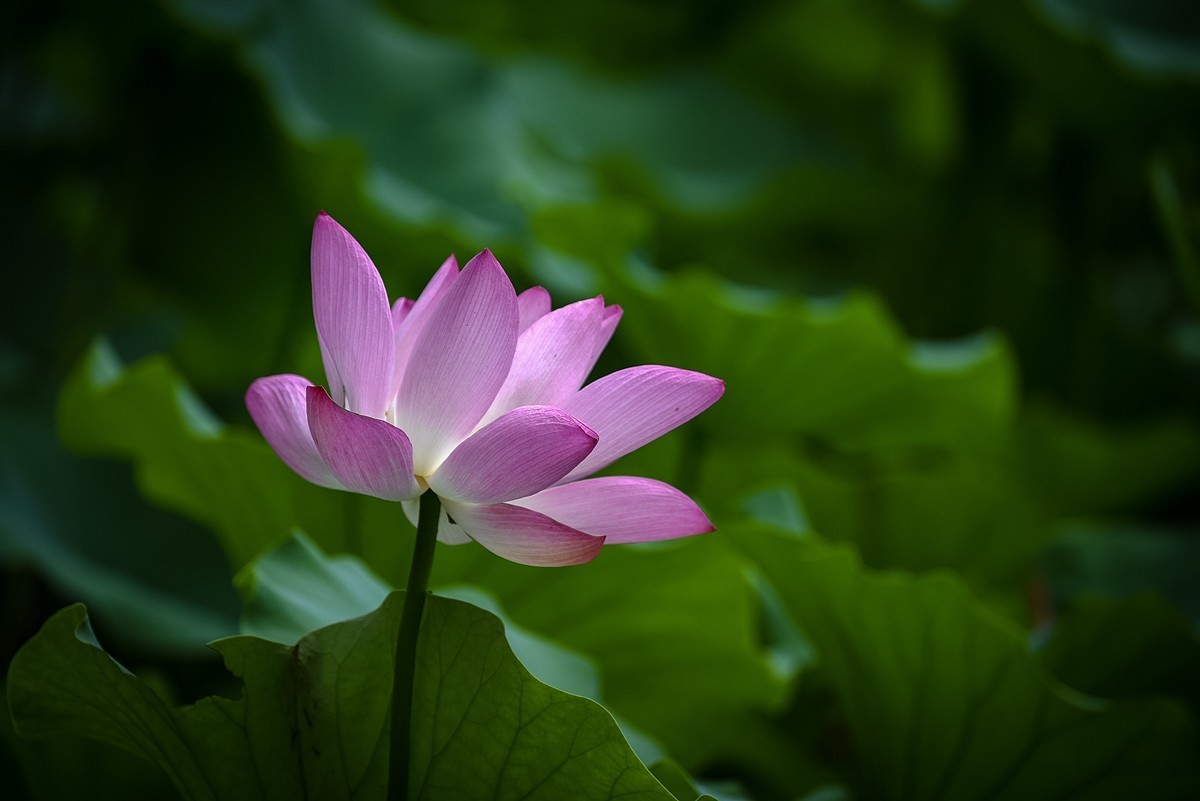 #九月精品学习@#