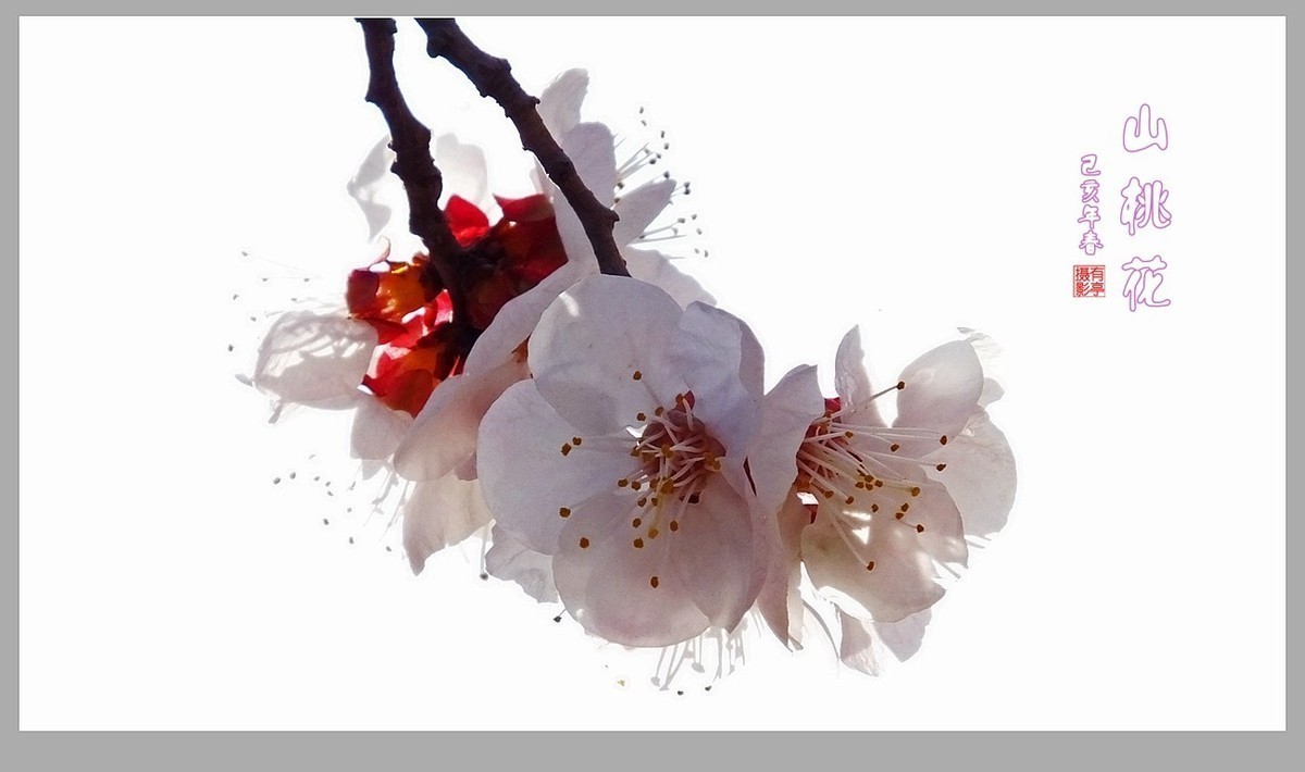 #九月精品学习@#