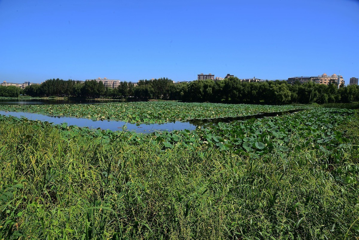 #九月精品学习@#