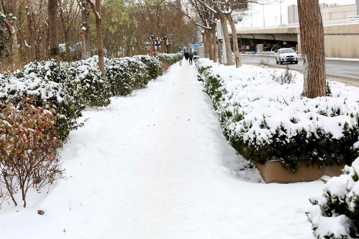 2023年12月拍雪后