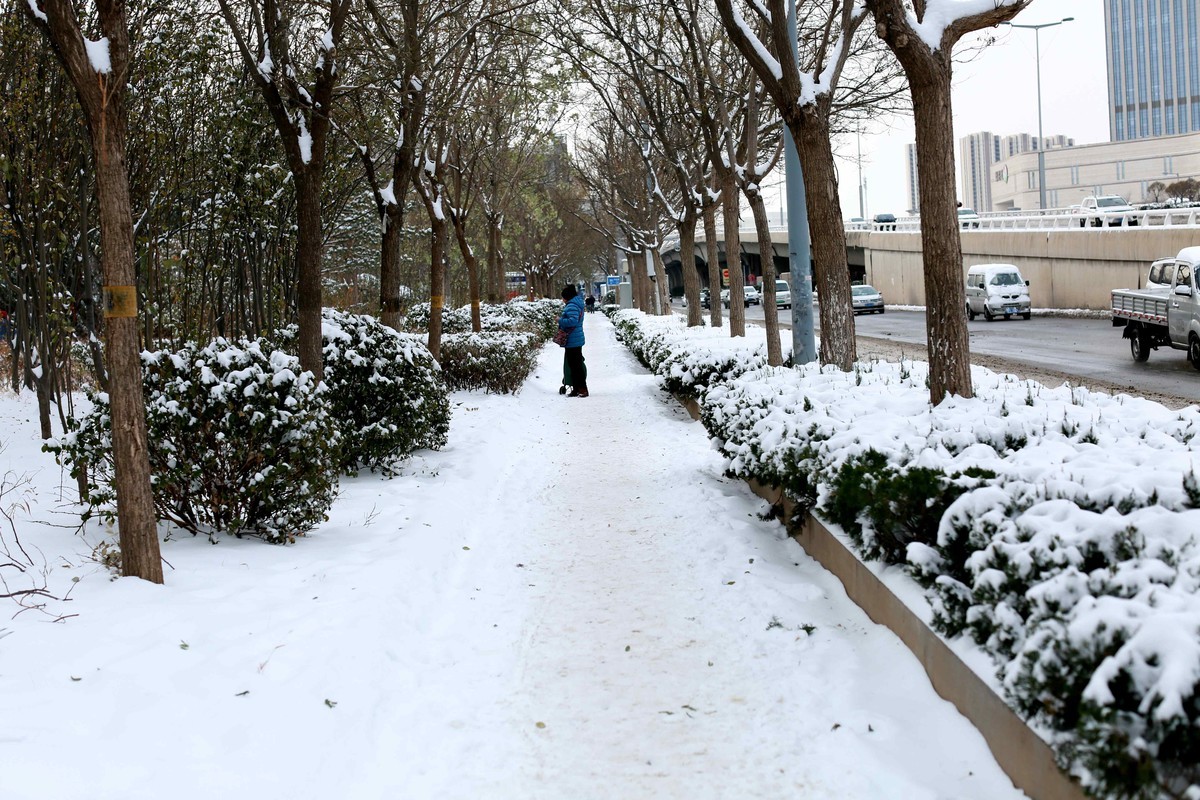 2023年12月拍雪后