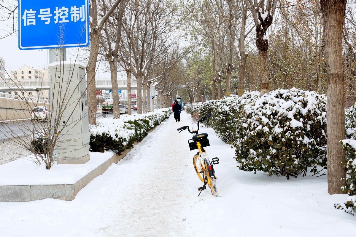 2023年12月拍雪后