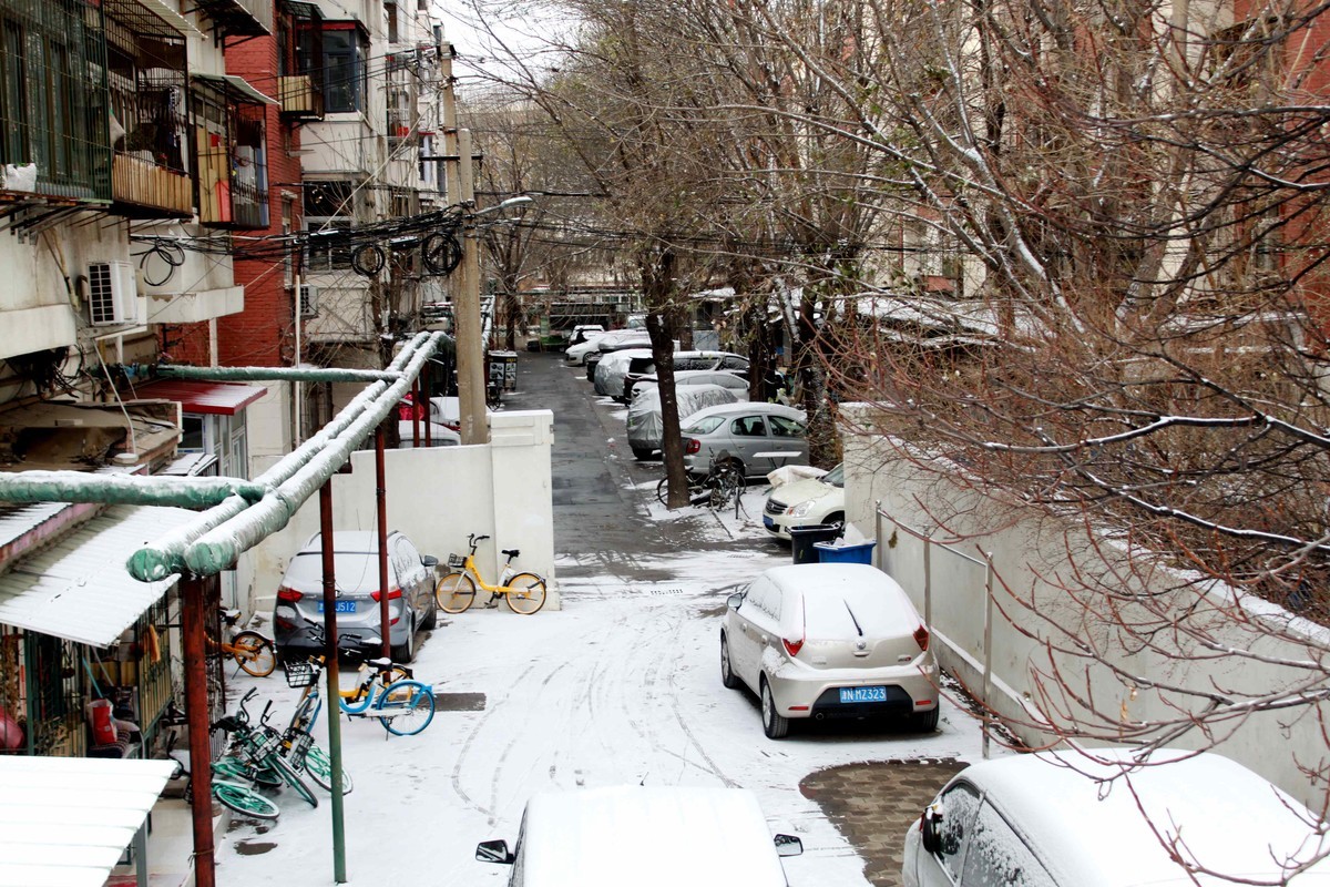 2023年12月拍雪后