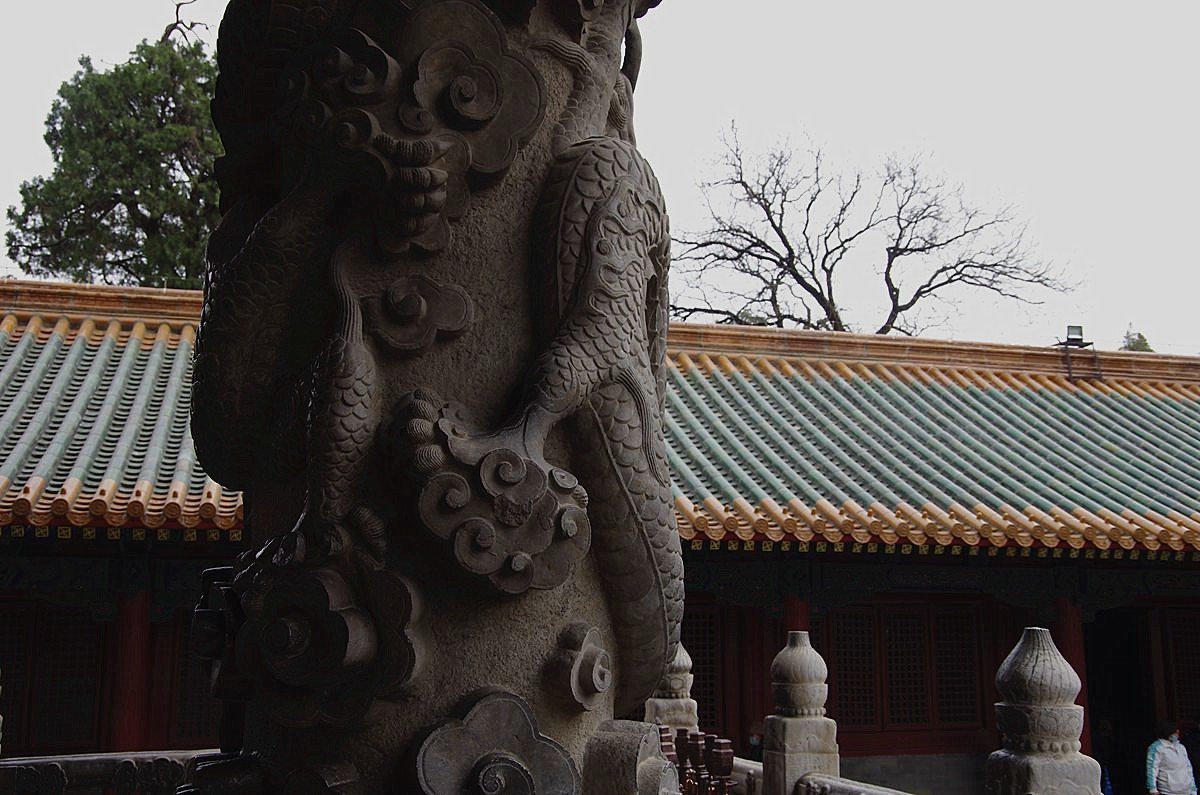 曲阜孔庙里的石雕龙柱-16P