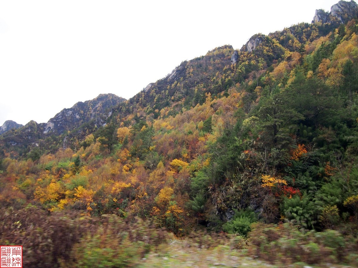 2023寻秋色（41）－－－结束