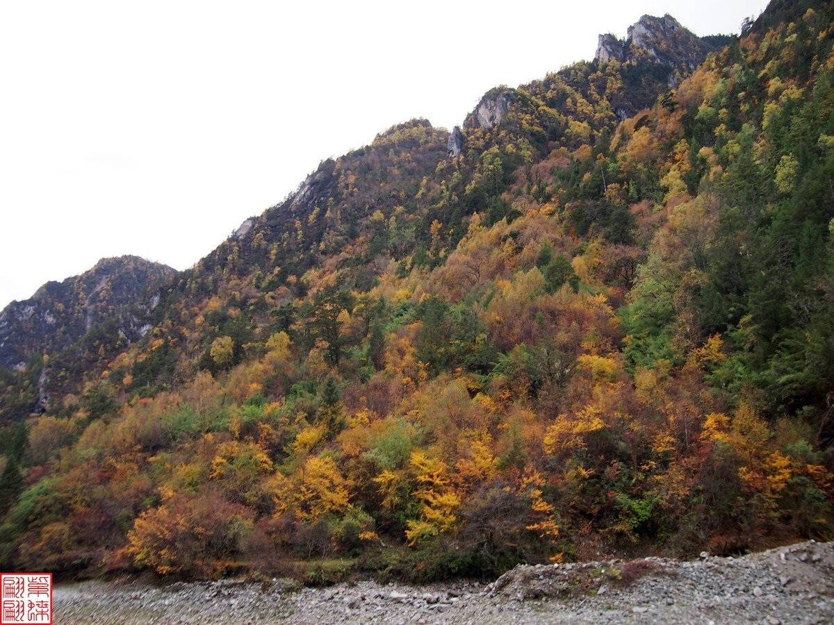 2023寻秋色（41）－－－结束