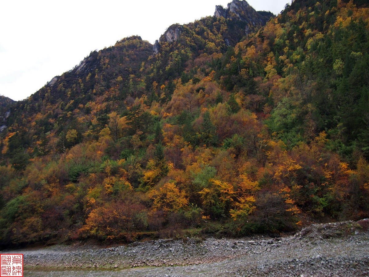 2023寻秋色（41）－－－结束