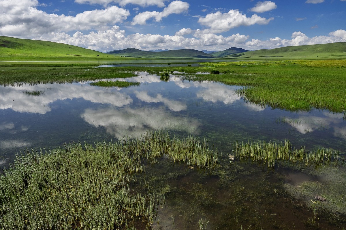 盛夏七月去看高原