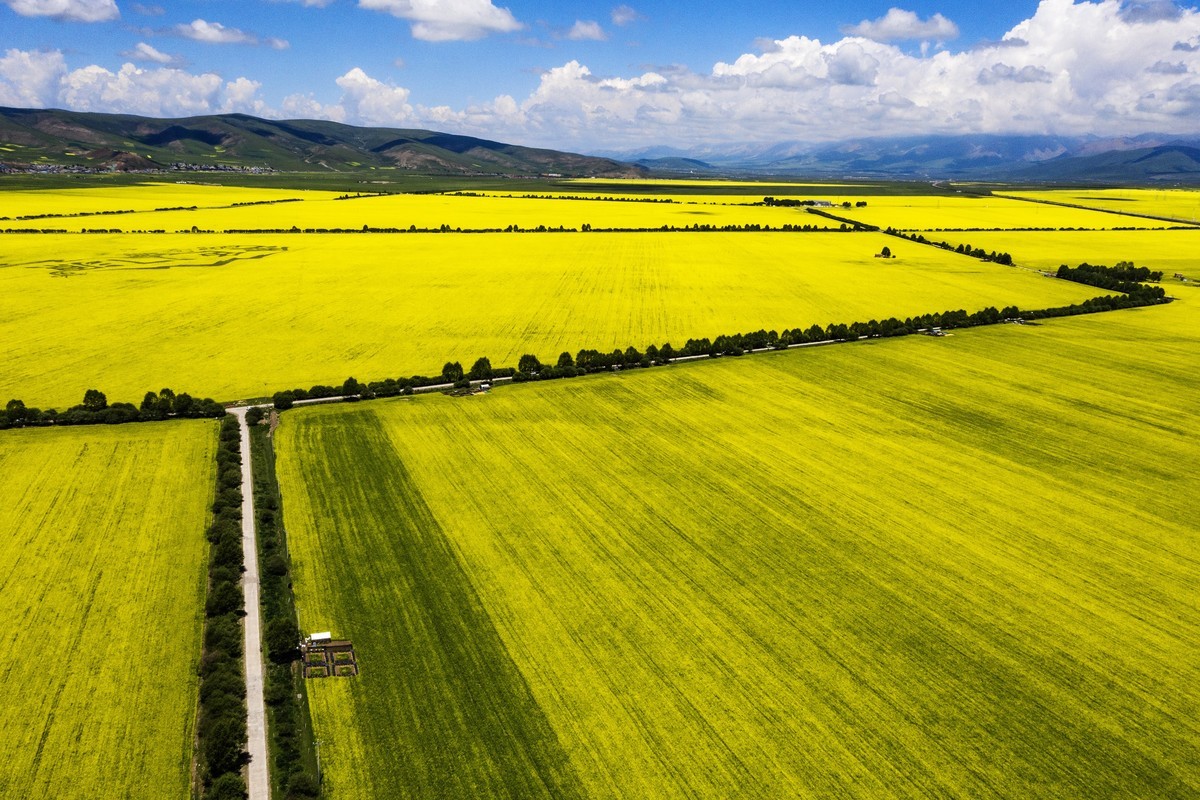 盛夏七月去看高原